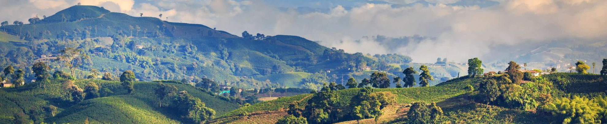 Alquiler de Autos en el Eje Cafetero Colombiano